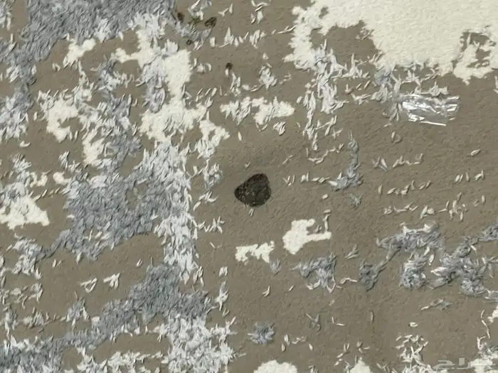 فرشه طول 5 متر عرض 4متر 3