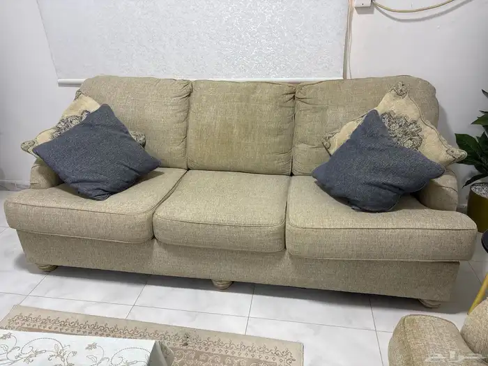 كنب أمريكي 5