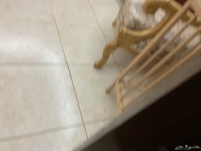 مجلس رجال ونساء 12
