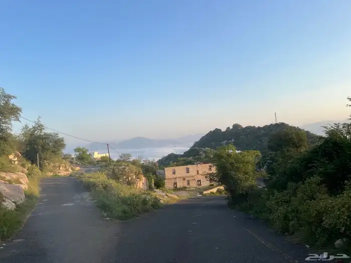 توصيل معلمات من صامطة الى جبل سلا والعباسية 0