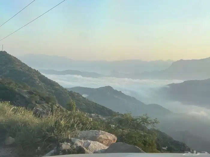 توصيل معلمات من صامطة الى جبل سلا والعباسية 1