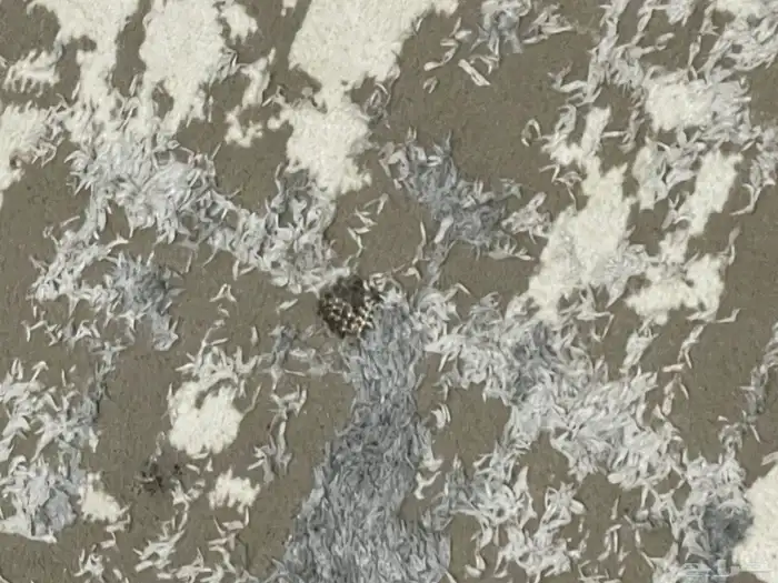 فرشه طول 5 متر عرض 4متر 2