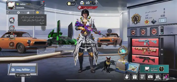 حساب ببجي للبيع لا تدخل الا صامل 0