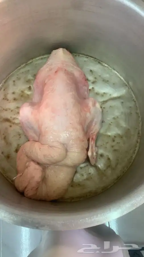 ذبايح مزرعة مرابي عسير 9