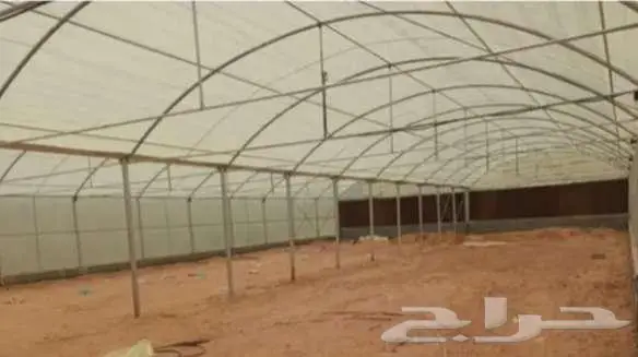 بيوت محميه مستخدم والجديد مكيف كذلك قواعد وبلاستيك للبيع 14