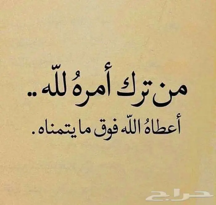 ابحث عن مطعم للاستثمار او الإيجار والتشغيل 0