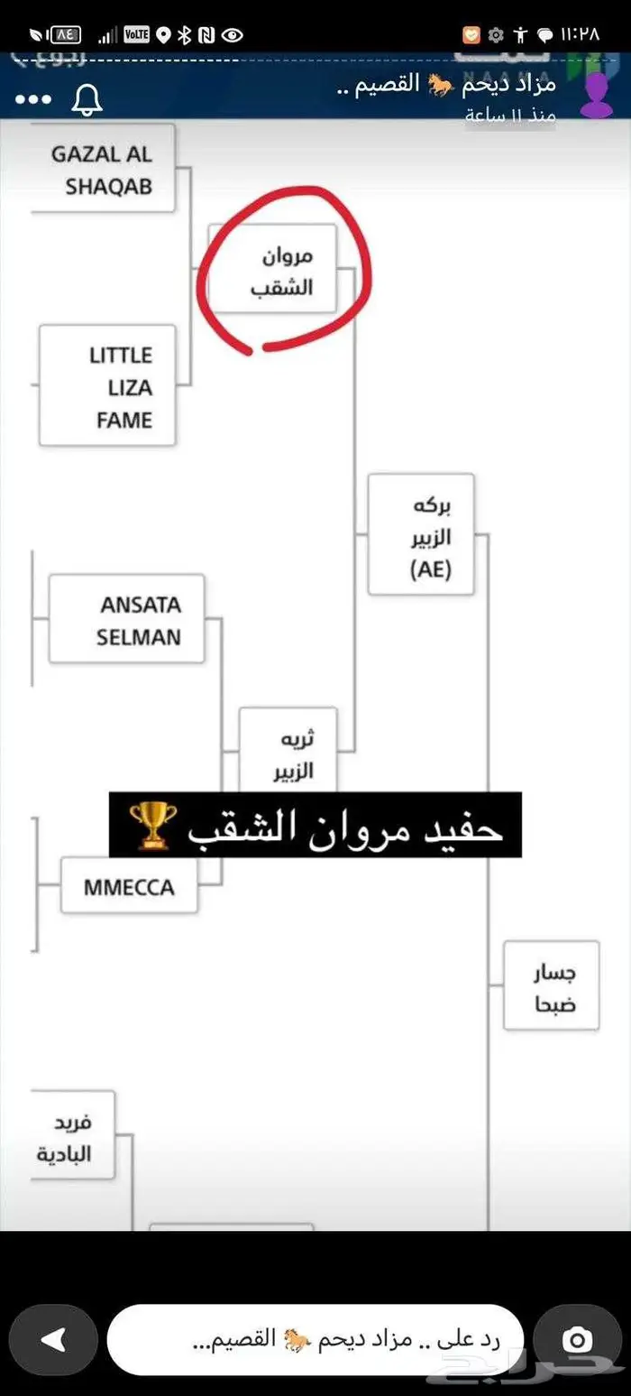 حصان واهو فاخر حفيد مروان الشقب 2