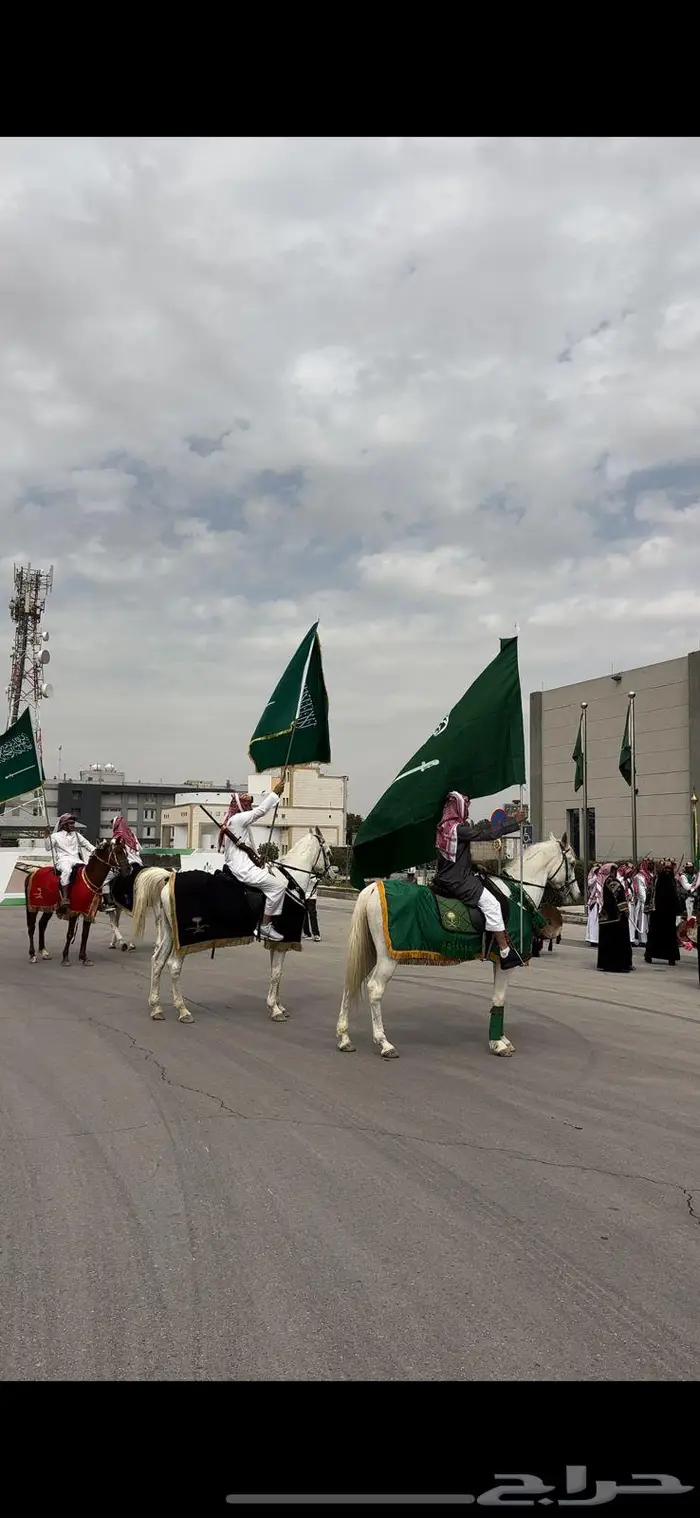 تاجير خيول وإبل مؤسسة سعوديه 2