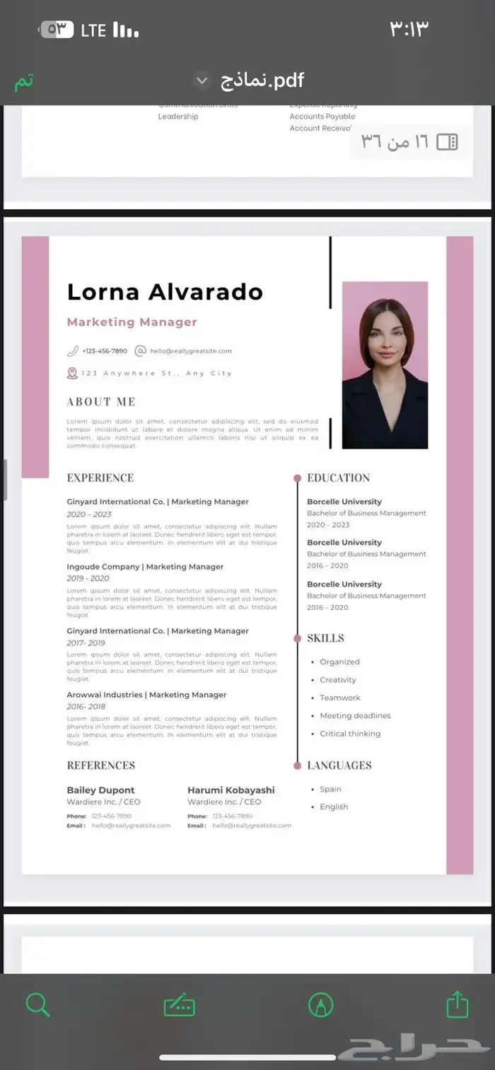 مصمم سيرة ذاتية CV متوافقة لنظام الATS 29