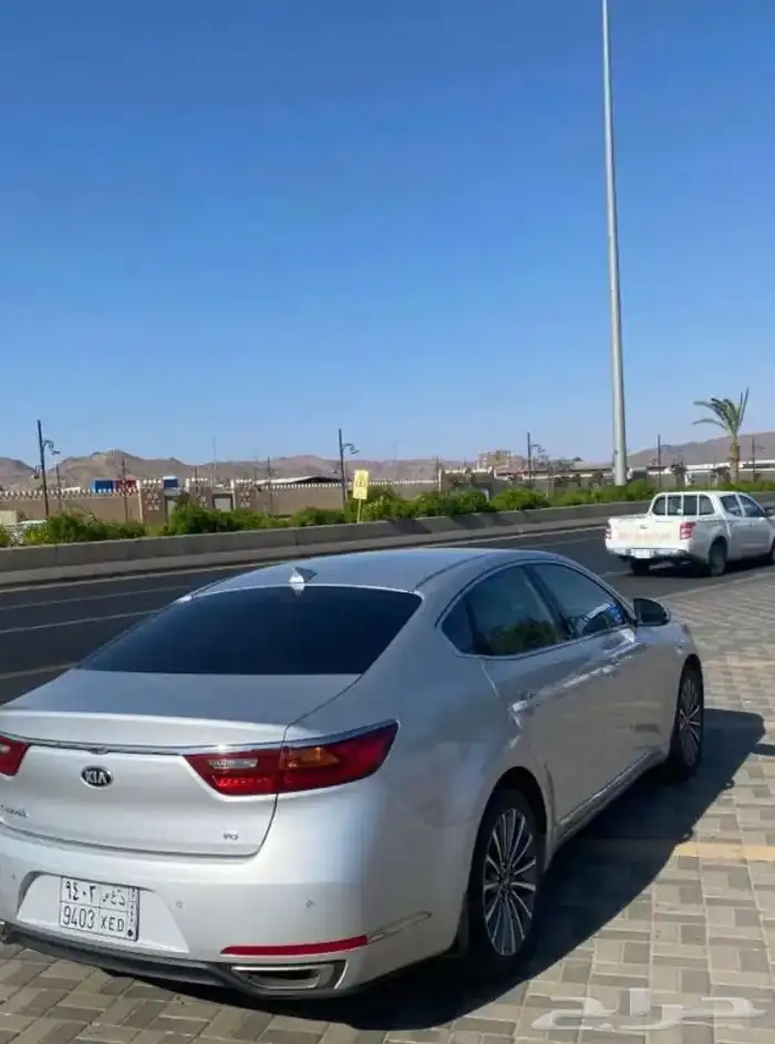 كادينزا 2020 3