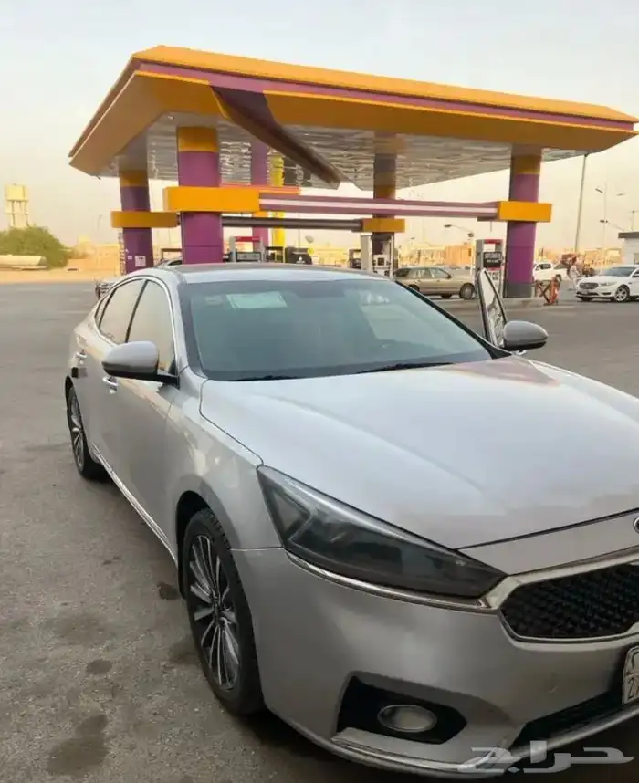 كادينزا 2020 0