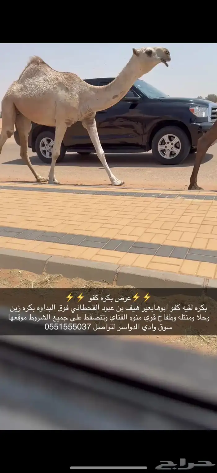 بكره لقيه كفو ضغط عالي 1