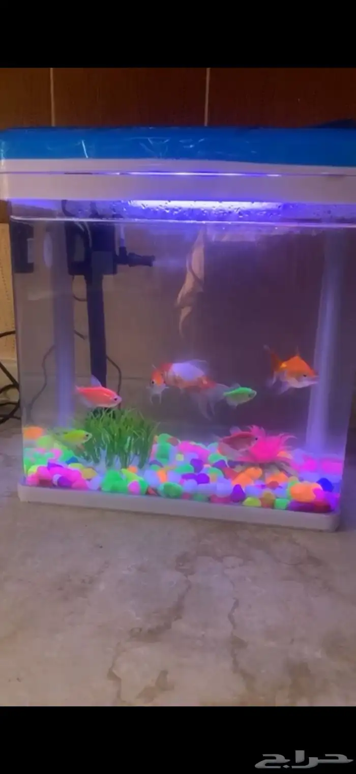 حوض سمك مع ملحقاته 0