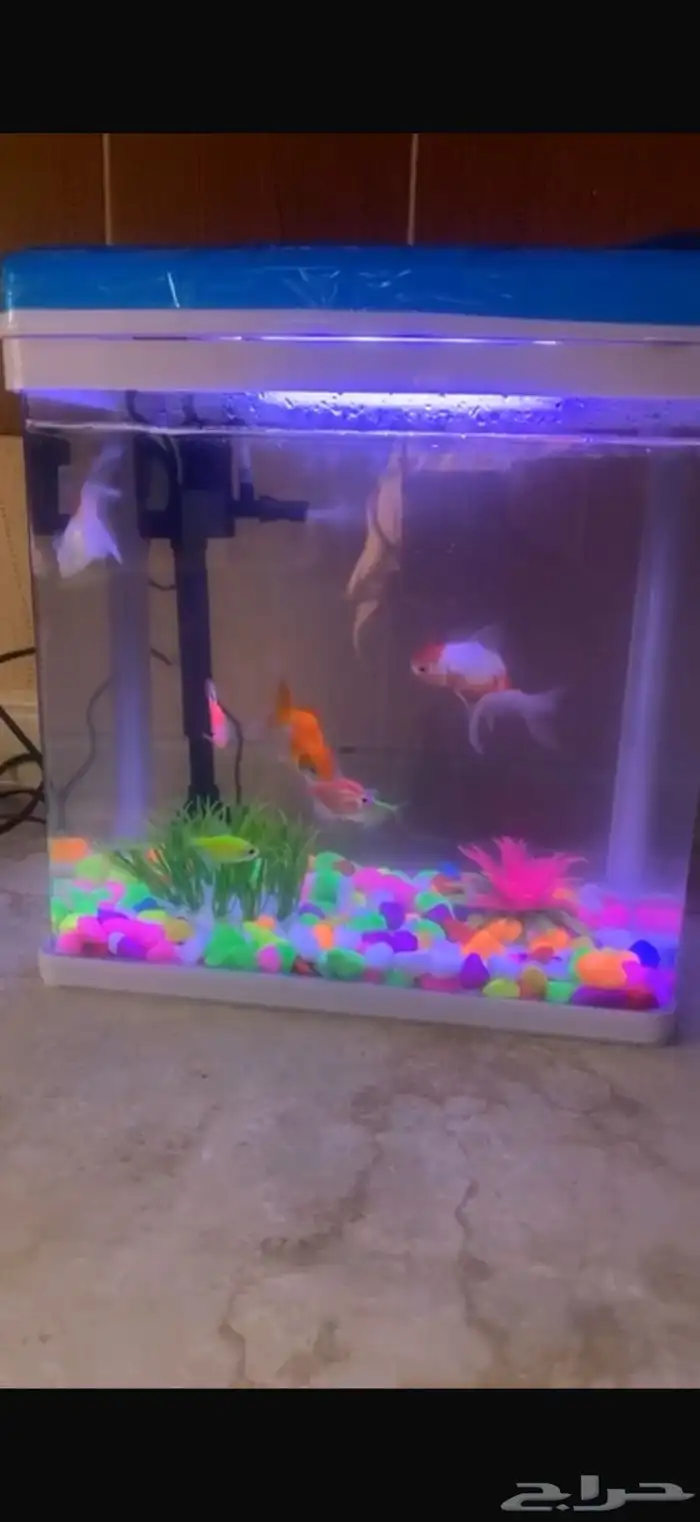 حوض سمك مع ملحقاته 1