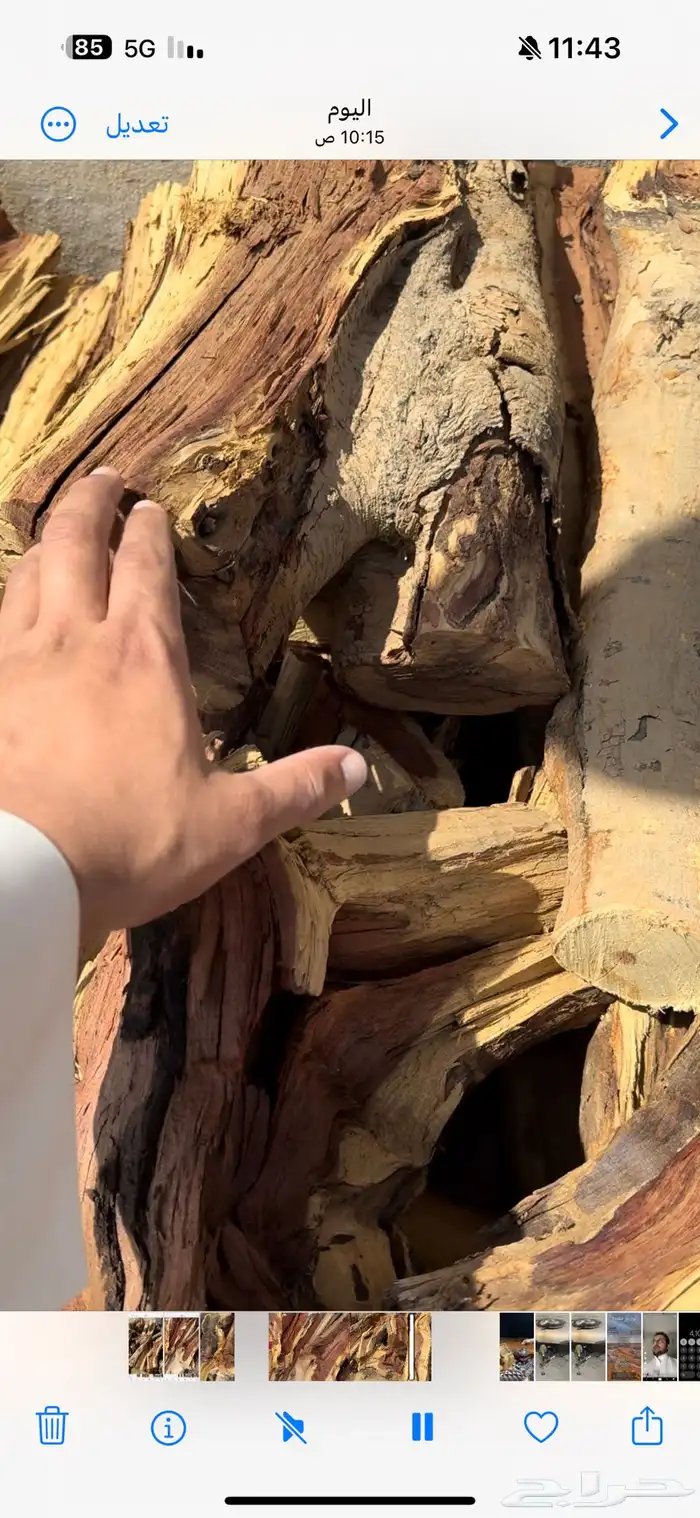 حطب مستورد ممتاز 0