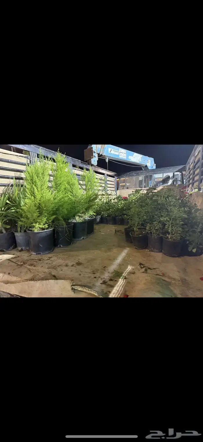 مشتل اشجار شتلات 2