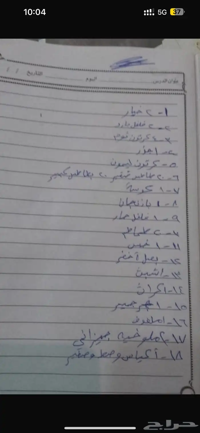 مندوب خضروات وفواكه من سوق الجملة العزيزية 10