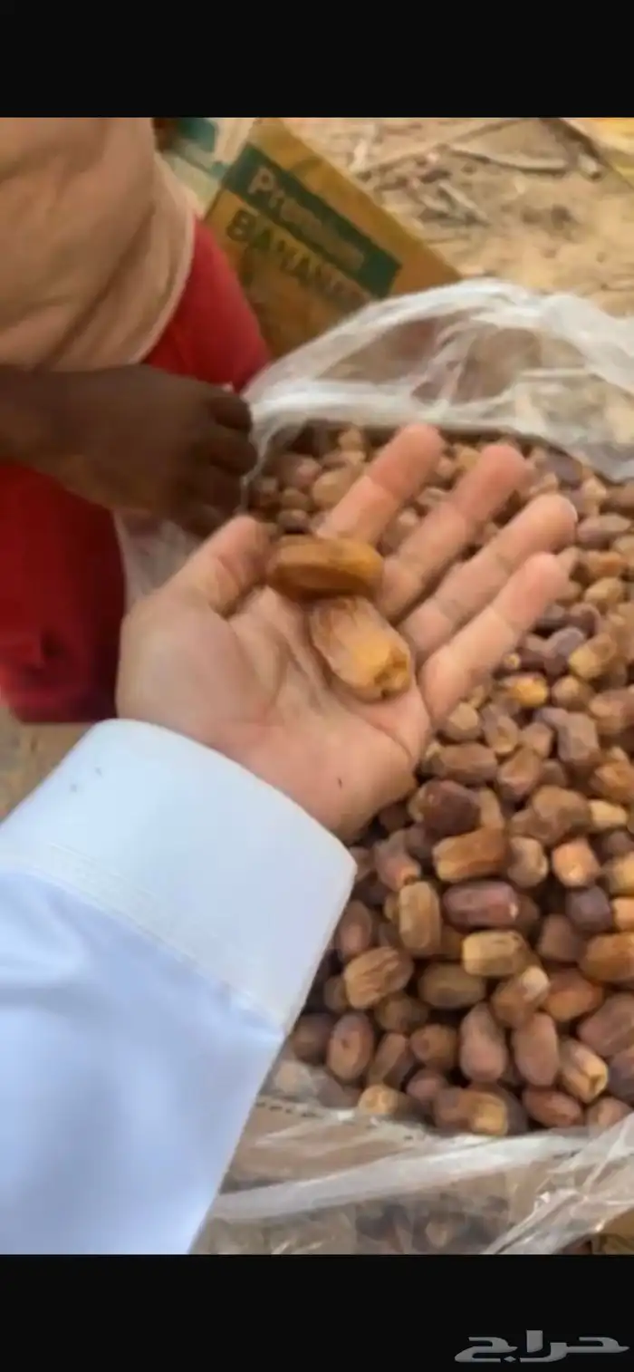 تمر رشودي للبيع وادي الدواسر السليل 1