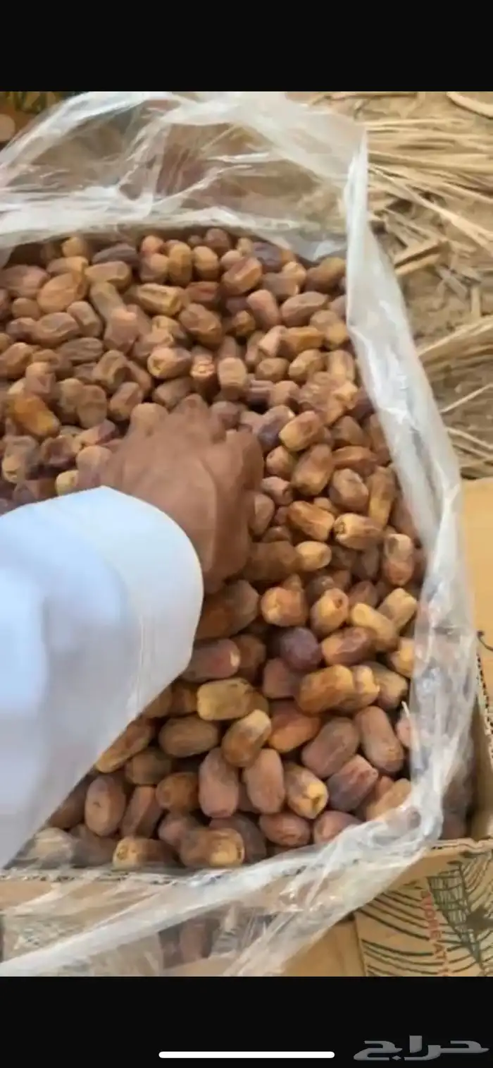 تمر رشودي للبيع وادي الدواسر السليل 0