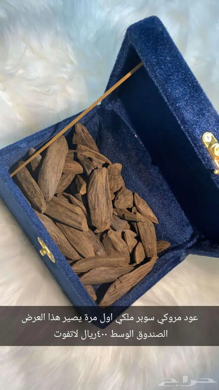 عود فاخر اطلب ولانت خاسر 0