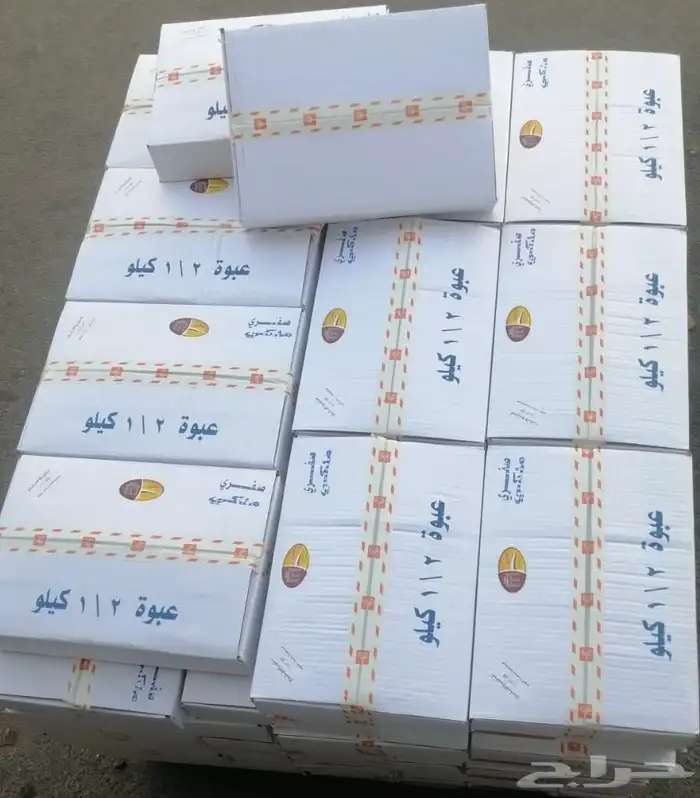 الشرقيه الخبر حي اللولو 7