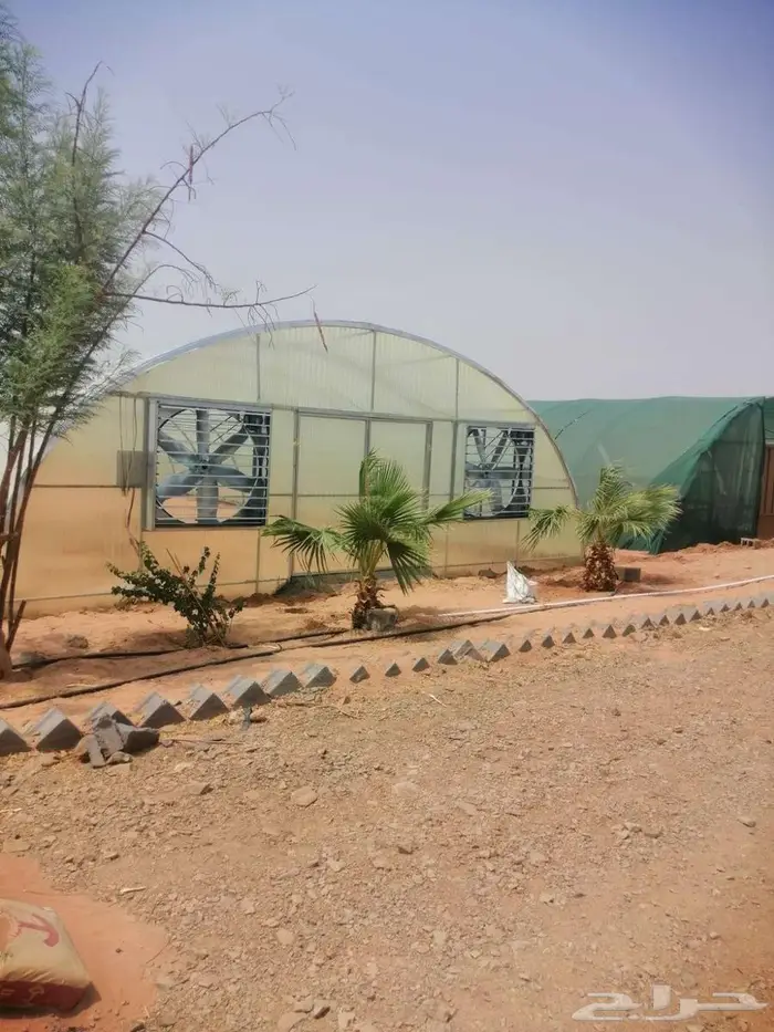 شركة قطاف للبيوت المحمية 2