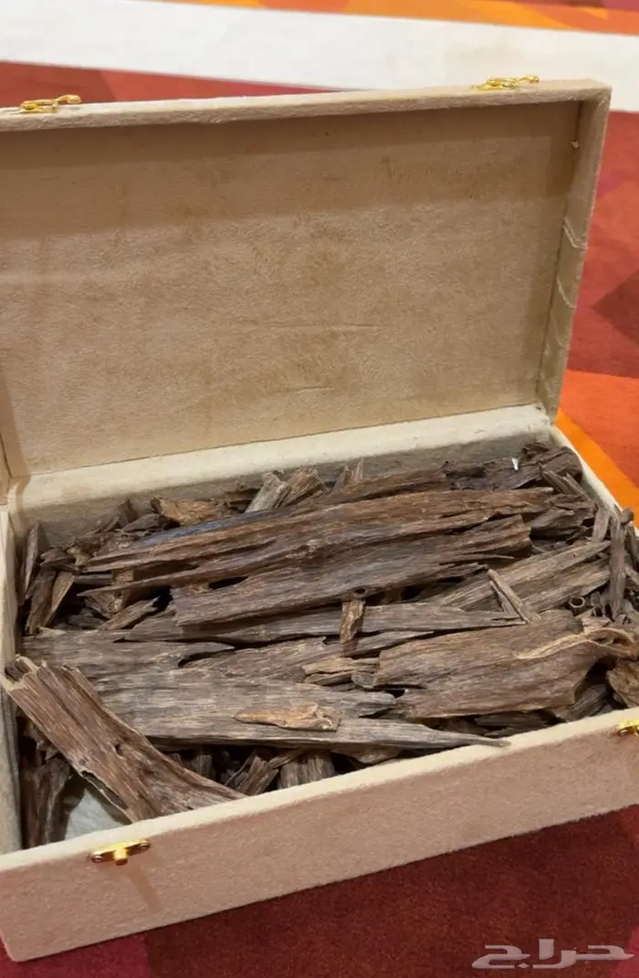 عود هندي نجلاند 4