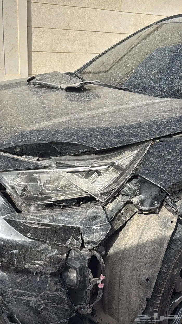 راف فور 2023 11