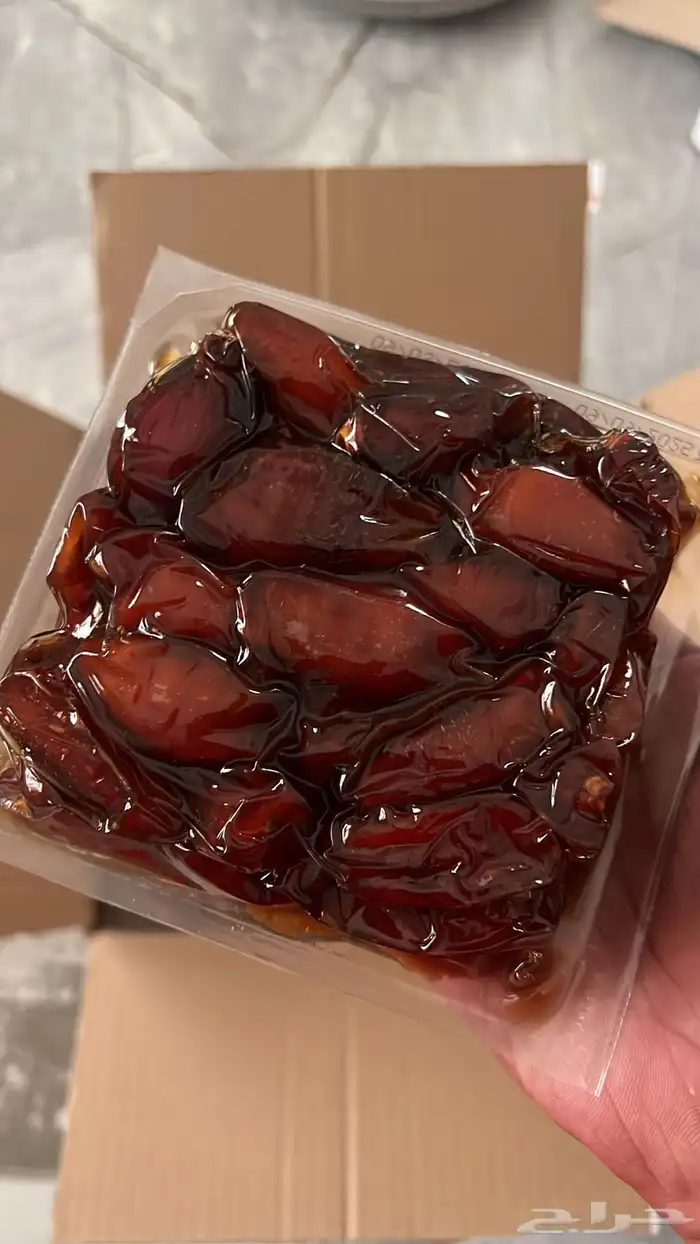 الشرقيه الخبر حي اللولو 5