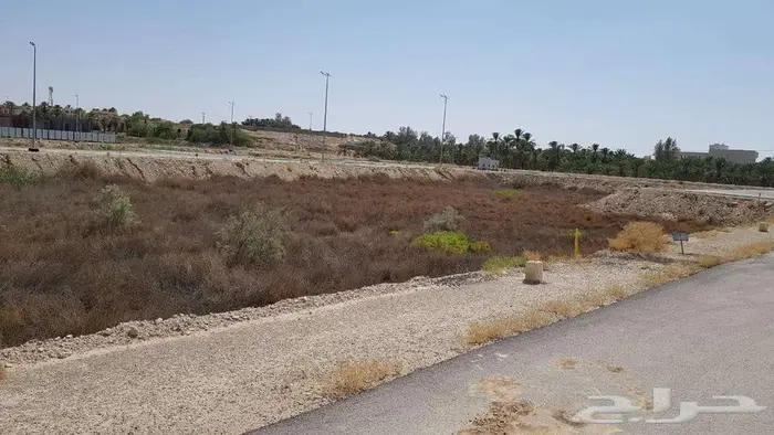 أرض سكنيه للبيع في عنيزه 3