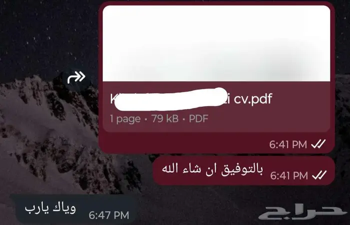 سيرة ذاتية (CV) متوافقة مع أنظمة التوظيف (ATS) بسعر رمزي 5