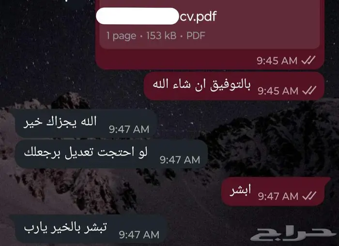 سيرة ذاتية (CV) متوافقة مع أنظمة التوظيف (ATS) بسعر رمزي 2