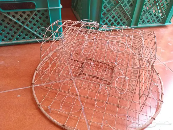 شبك صقور 0