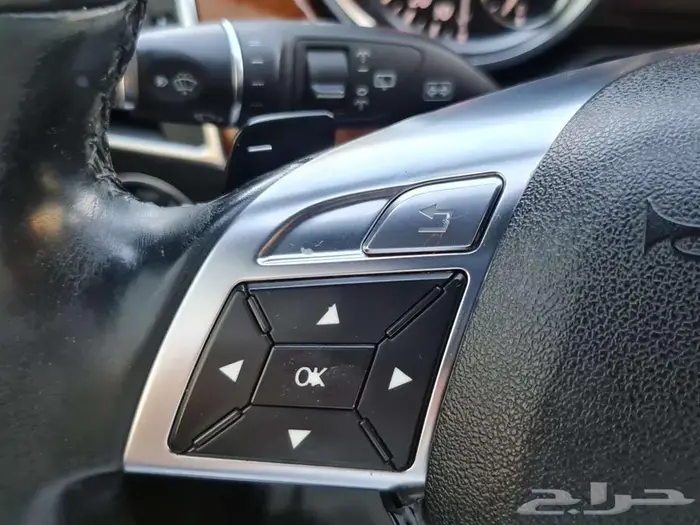 جيب مرسيدس ML 350 14