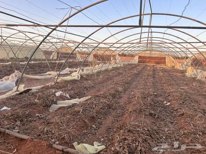 بيوت محميه مستخدم والجديد مكيف كذلك قواعد وبلاستيك للبيع 5