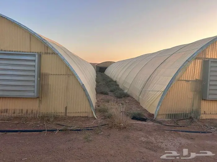 بيوت محميه مستخدم والجديد مكيف كذلك قواعد وبلاستيك للبيع 4