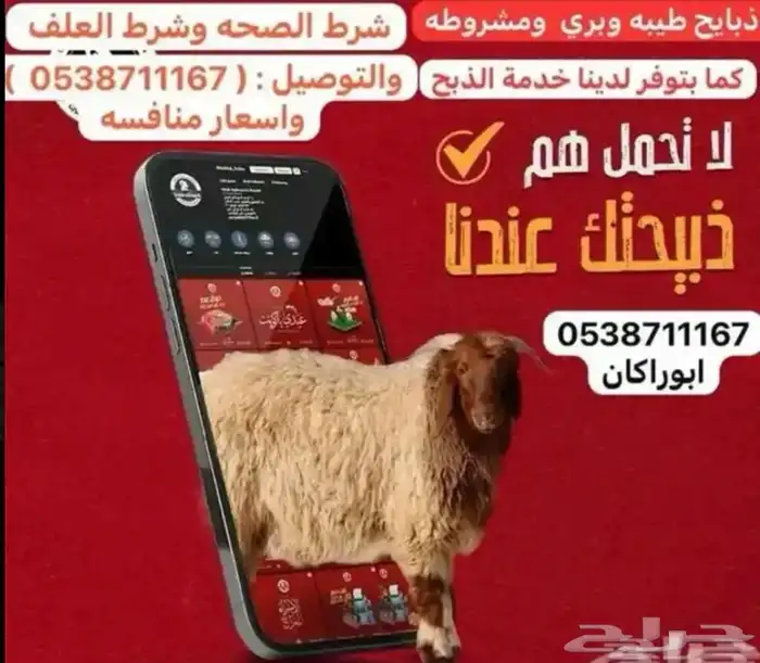 ذبايح تمايم ضيفه ثلاجه واسعار كفو 0