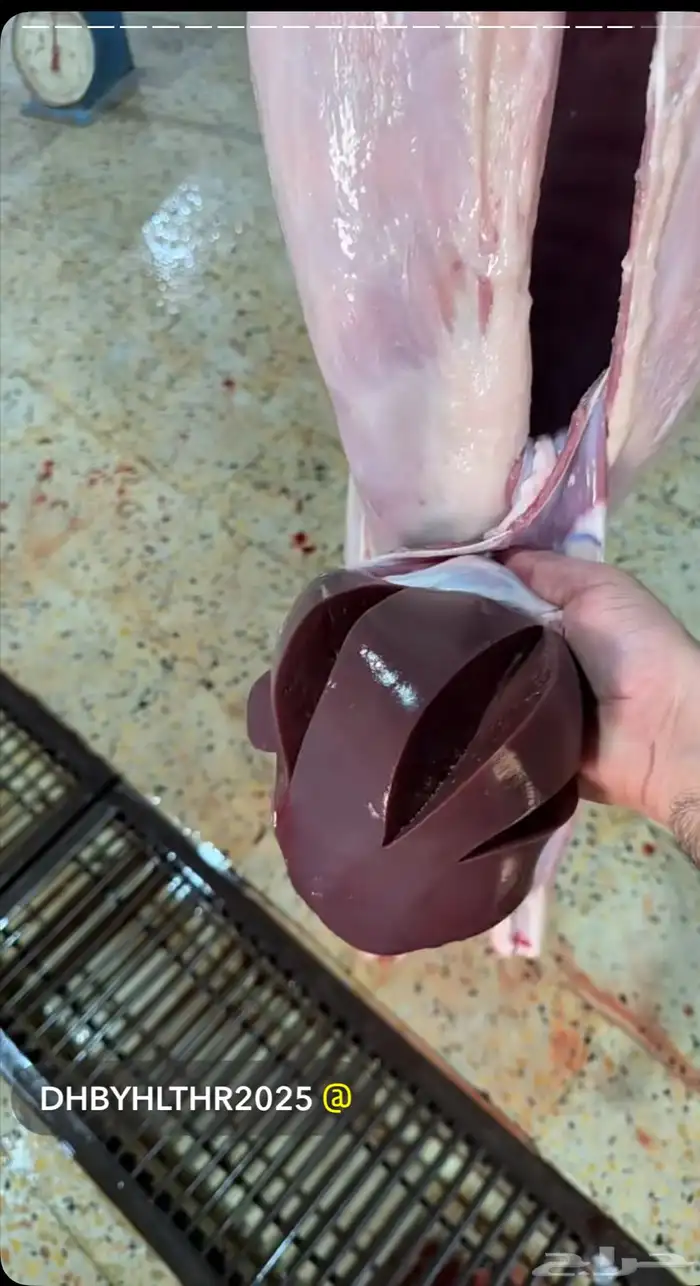 ذبيحتك جاهزه باتصال 7