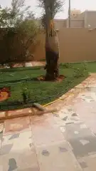 حدائق دلال الرياض وزراعه النخل 14