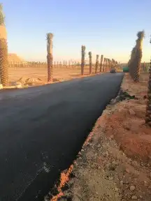 حدائق دلال الرياض وزراعه النخل 15