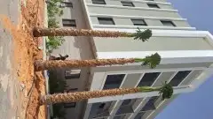 حدائق دلال الرياض وزراعه النخل 13