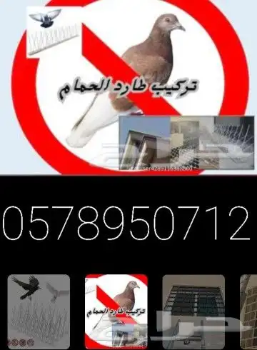 طارد الحمام 2