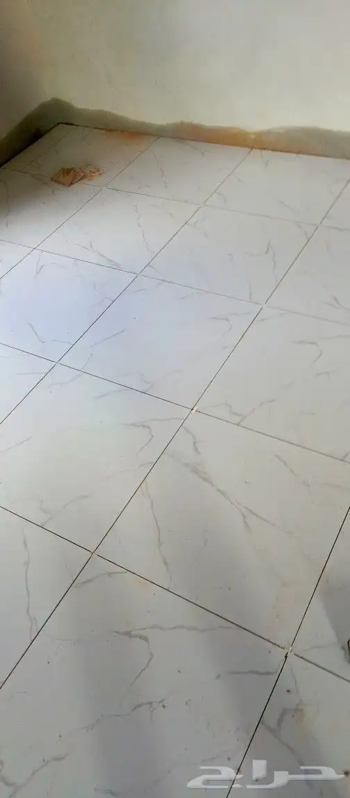 مبلط بلاط  شان  عبدالمج د 7