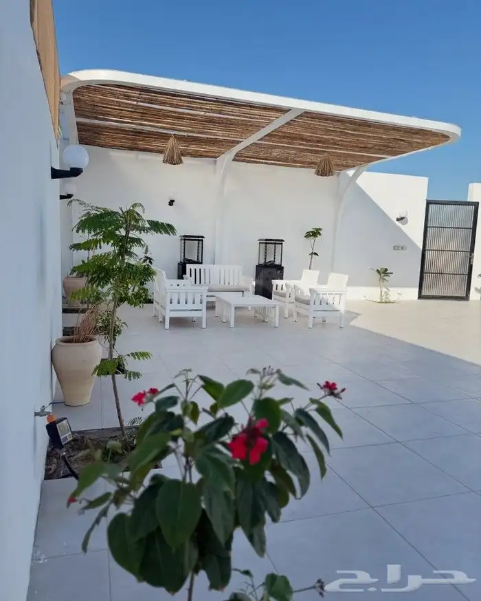 جلسات خيزران سواتر خيزران واجهات خيزران بامبو قش 0