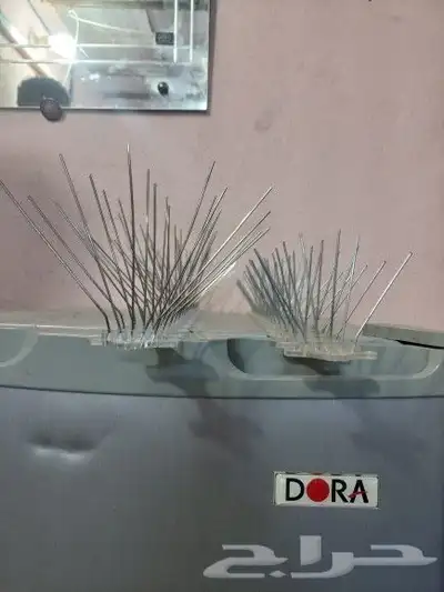 طاروالطيور 1