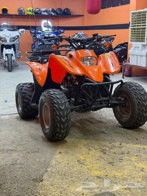 دباب   سويدي 6
