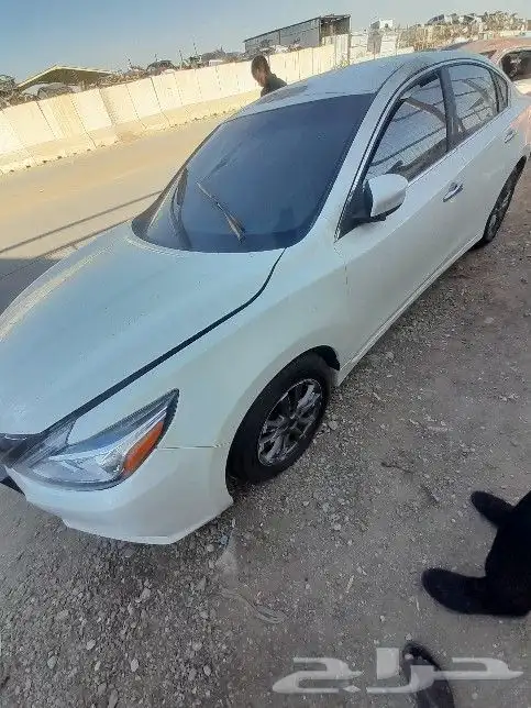 نسيان التيما 2018 5