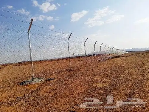 تركيب شبوك مزارع المزاحمية الرياض الجله 6