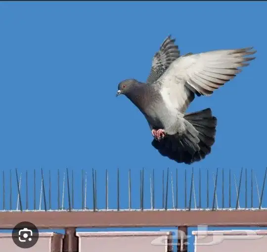 طاردالحمام مكيفات فايبر جلاس خارجية شباك حمام فايبر مرواح 0