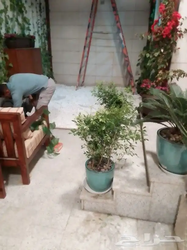 تنسيق حدائق وجلسات وزراعة لاحواض 1